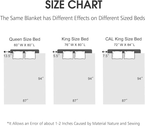JML Raschel Fleece Blanket King Heavy,10.5 lbs, 87" x 94", Grey Frames | Korean Style, 2 Ply A&B Printed Embossed, Plush Soft Thick Warm for Winter - color: Grey Frames