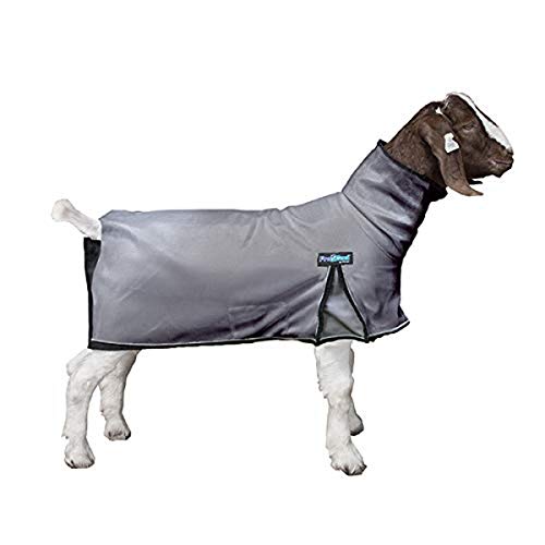 ProCool™ Goat Blanket with Reflective Piping, Medium, Gray