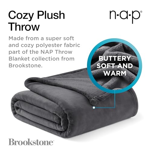 Brookstone Nap Plush Throw Blanket for Couch | Warm & Super Soft Blanket with Unmatched Heavy, Dense, and Ultra-Comfy Throw | Luxurious Drape, Cozying Up on a Sofa, Chair | Silver - color: Silver