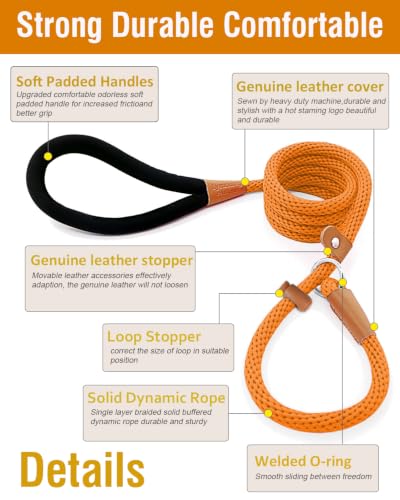 Dog Leash Slip Lead Braided Rope Pet Training Loop Leashes 5ft 6ft 8ft - color: Orange