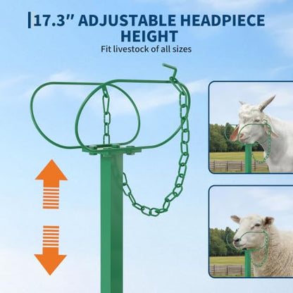 Garvee Goat Stand with Headpiece and Nose Loop – Milking Shearing Stand - color: Green-47 Inch (with Nose Loop)