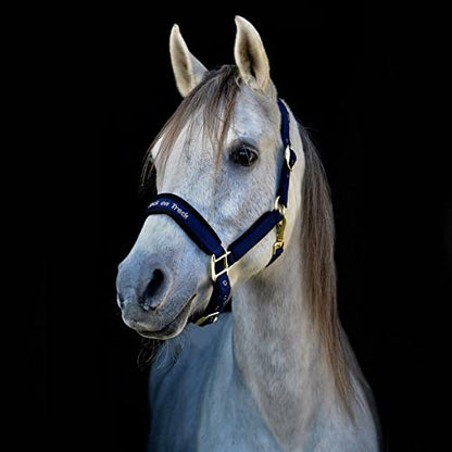 Back on Track Werano Halter