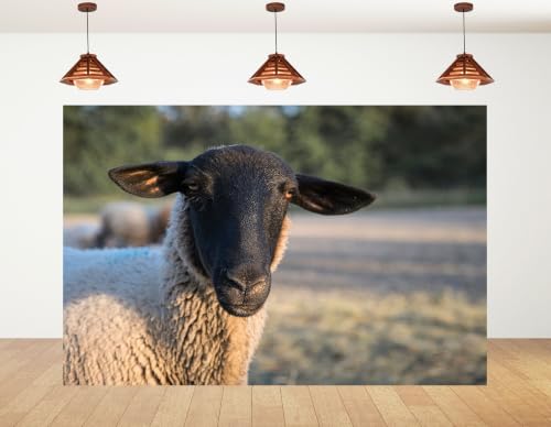 7x5ft Fabric Black Face Wool Sheep Close Up Backdrop Farm Grass Pasture Blurred Green Bush Background Tapestry Party Farm Animal Portrait Decorations Banner Photo Booth Props - size: 7x5ft