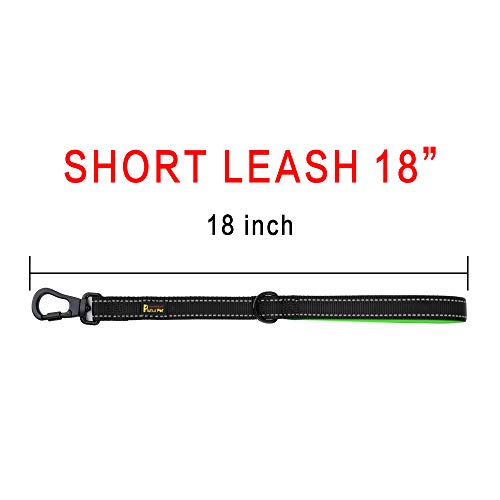 PLUTUS PET Short Training Dog Leash with Padded Handle for Medium Large Big Dogs,18 Inch Heavy Duty Strong Traffic Leash with Carabiner Clip for Climbing Walking or Guiding Blind（18”，Black | Reflective, Heavy Duty Strong Nylon, Traffic Leash with Carabine