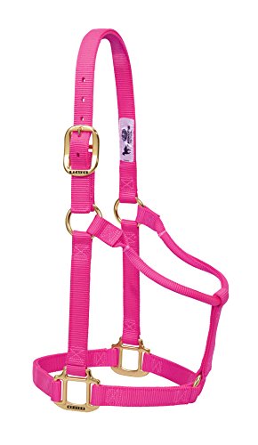 Weaver Leather Original Non-Adjustable Nylon Horse Halter, Yearling, Diva Pink