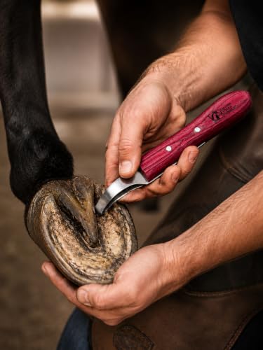 Farrier Loop Hoof Knife, Right-Hand, J2 420 Magnetic Stainless Steel Blade, Ergonomic Red Handle, Horse Hoof Trimming Tool for Sole & Frog Paring