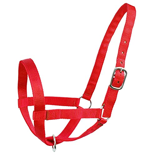 Derby Originals Adjustable Nylon Livestock Cattle Halters - color: Red, size: Small (250-500lbs)