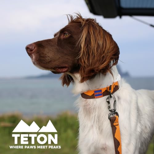 Charlie’s Backyard Teton Dog Collar, Urban to Trail Lightweight & Adjustable with Quick Release DURAFLEX Buckle, Durable D-Ring & All-Day Comfort, Autumn Glow, Large - color: Autumn Glow, size: Large