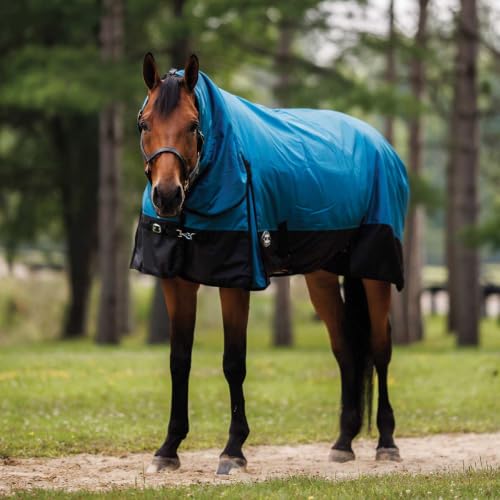 Country Pride Heavyweight Turnout Blanket for Horses, 1680D Waterproof Durable Outer Shell, 300g Insulation, Attached Neck Cover, Adjustable Front and Leg Straps, Shoulder Gussets, Tail Cover (76) - size: 76