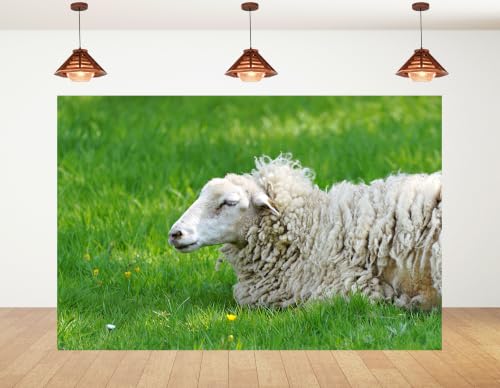5x3ft Resting Wool Sheep Backdrop Thick Curly Fleece Fresh Green Grass Small Wild Yellow Flower Background Tapestry Party Pasture Farm Animal Home Decorations Photo Booth Props - size: 5x3ft