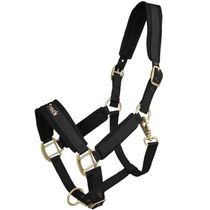 BACK ON TRACK Werano Cob Halter - color: Black, size: Cob