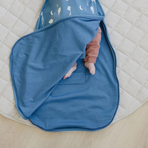 Woolino Toddler Sleeping Bag, 4 Season, Merino Wool and Organic Cotton, Baby Sleep Bag or Sack, 2-4 Years, Hot Air Balloon - color: Hot Air Balloon