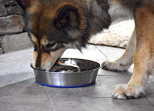 OurPets DuraPet Slow Feed Premium Stainless Steel Bowl (Heavyweight Durable Stainless Steel Bowls, Dog Food Bowl, and Dog Water Bowl) Great Alternative to Snuffle Mat for Dogs-Medium - size: Medium (4.5 Cups)