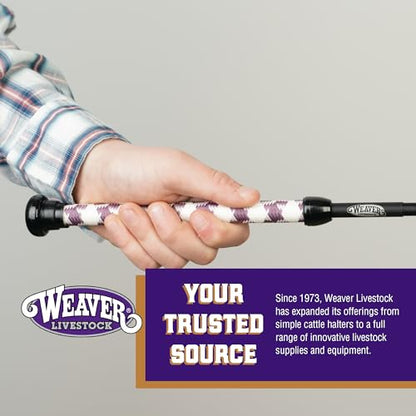 Weaver Livestock Basic Pig Show Whip, Hog Livestock Whip with Braided Nylon Handle, Leather Popper, Lightweight Braided Shaft - color: 36" - Mauve/White