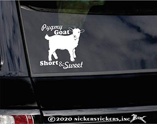 Pygmy Goat Short & Sweet | NickerStickers® Vinyl Window Decal Sticker