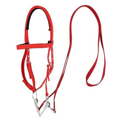 Draft Horse Bridle Anti-Tear Horse Riding Headstall | Equine Snaffle Noseband, Adjustable Soft Lined Equestrian Browband for Outdoor Use - size: Large