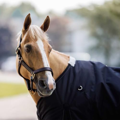 Glacier Heavyweight Turnout Blanket 600D (Black, 74) - size: 74