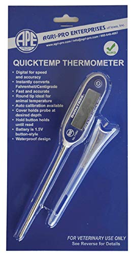 Quicktemp Digital Thermometer