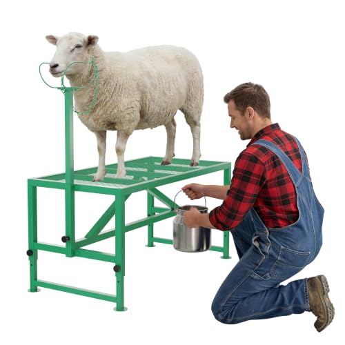 500LBS Goat Stand with Headpiece and Nose Loop – Milking Shearing Stand - color: Green-47 Inch (with Nose Loop)