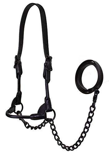 Derby Originals Black Midnight All Black Premium Round Rolled Leather Cattle Show Halter with Matching Chain Lead - size: Large (950lbs-1500lbs)