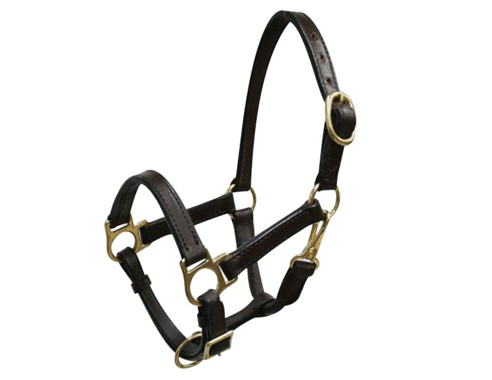 Small Pony/Weanling Leather Halter w/Brass Hardware - color: Brown