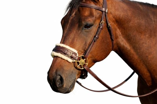 CHALLENGER Horse Western Fleece Padded Brown Leather Brass Cheeks Adjustable Hackamore 35H46