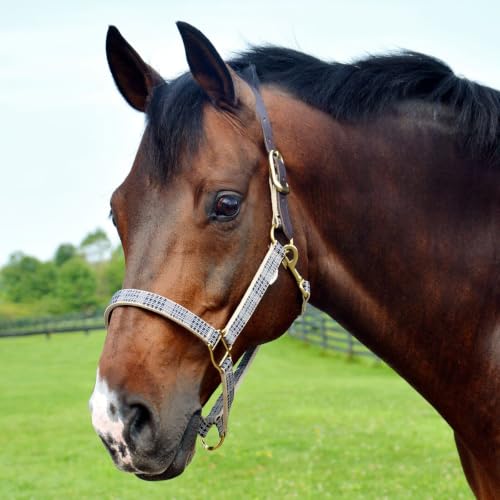5/A Baker Breakaway Halter with Full Leather Crown 1" - size: Large