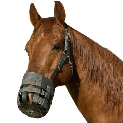 Best Friend Deluxe Leather Crown Grazing Muzzle - Horse Muzzle with Attached Halter, Adjustable, Breakaway, Lightweight, Ventilated, for Controlled Grazing - Dark Grey, Horse Size - size: Horse