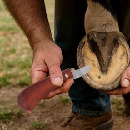 2 Pcs Professional Hoof Trimming Kit, Hoof Knife with Sharpener, Dual Grit Diamond Sharpening Rod, Ergonomic Handle for Livestock Care, Long-Lasting Tools