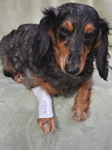 PawFlex Protective Sleeve Tubular Cover - Bandages - for Dogs Cats & Other Pets First Aid Wound Care Non-Adhesive Disposable Breathable Water Resistant 7 Strips (yields 14-21 Covers) (Small 12pk) - size: Small 12pk