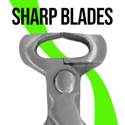 Professional 14-Inch Race Track Hoof Nipper – Vanadium Steel Farrier Tool for Horse Hoof Trimming, Heavy-Duty Hoof Cutter, Precision Horse Hoof Nippers, Durable Equine Farrier Equipment