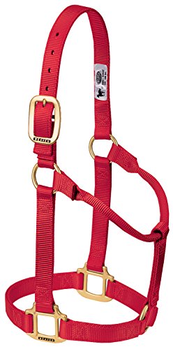 Weaver Leather Original Non-Adjustable Nylon Horse Halter, Red, Yearling