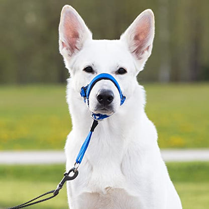GoodBoy Dog Head Halter with Safety Strap - Stops Heavy Pulling On The Leash - Padded Headcollar for Small Medium and Large Dog Sizes - Head Collar Training Guide Included (Size 2, Blue Nylon) - color: Blue Nylon / Black Padding, size: Size 2 (Pack of 1)