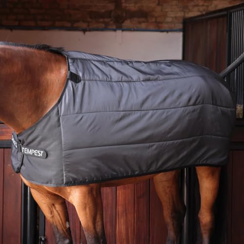 Shires WarmaRug 200 Gram Blanket Liner - size: 87"