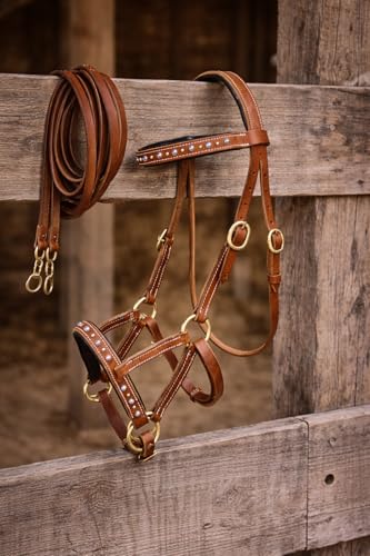 CHALLENGER Horse Western Harness Leather Turquoise Stone Bitless Sidepull Bridle w/Reins 77RS31