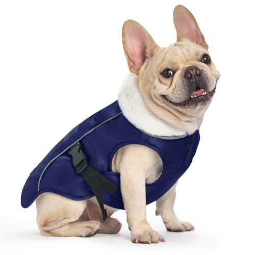 EMUST Dog Winter Coat, Waterproof Fleece Dog Jacket Winter for Small Dogs - color: Blue, size: Small