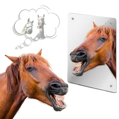 Sukh Acrylic Horse Mirror - 16.92 x 12.99 in Non Glass Stall Mirror