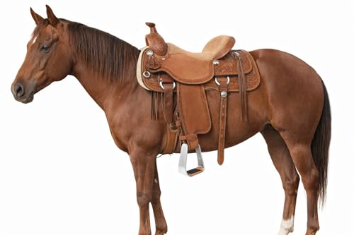 Horse Saddle Stirrups Western Saddle Aluminum Angled Slanted Bell 51223