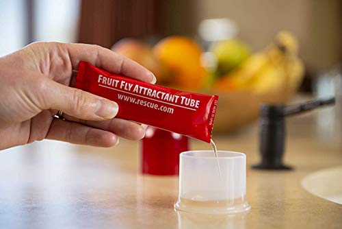RESCUE! Fruit Fly Trap Bait Refill - 30 Day Supply