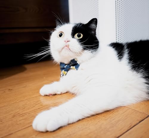 Collar for Cat Pet Breakaway with Bell Bowtie Detachable Bow Adjustable Safety Kitten Puppy Girl Boy 2pcs Flower-Blue & Yellow - color: Flower-Blue & Yellow