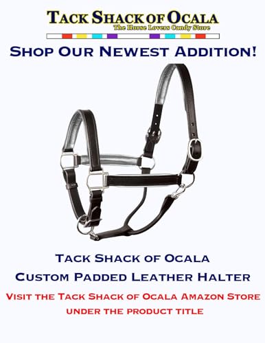 Tack Shack of Ocala Leather Halter for Horses with Customized Engraved Name Plate Option Halter for Horse | Brown/Brass, Black/Brass, Black/Chrome Options - size: Weanling/Small Pony