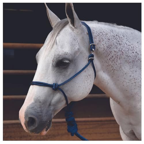 Professional's Choice Easy ON Rope Halter W/Lead - color: Royal