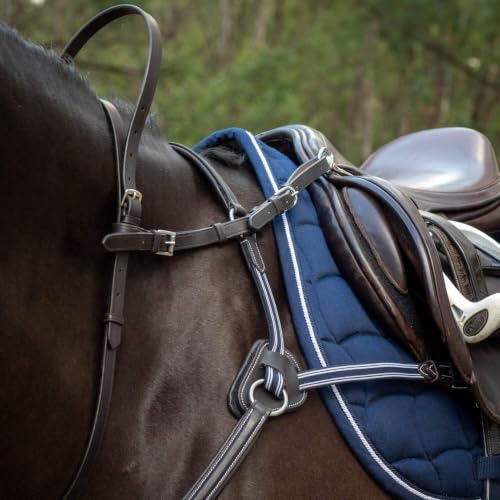Quiet Hands Safety Strap & Connector Bundle - color: Color: Black - Connector: Breastplate