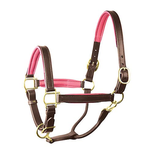 Perri's Soft Padded Leather Halter - color: Havana/Pink, size: Cob