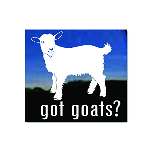 Got Goats? NickerStickers® Pygmy Goat Vinyl Window Decal Sticker