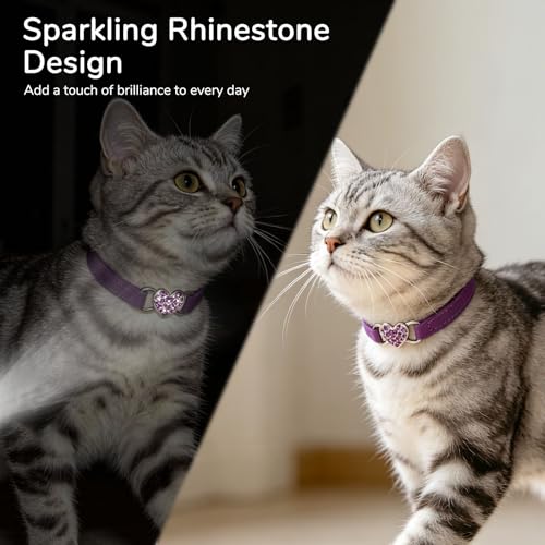 BINGPET Diamond Cat Collar with Bell, Adjustable Kitten Collar, Purple - color: Purple(Heart), size: Neck Girth 8"-10"