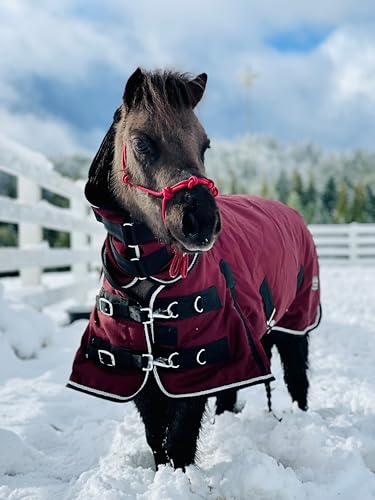 Mini-Pony Horse Ripstop Waterproof Windproof Blanket Hooded Lightweight Turnout Rain Sheet Breathable Lining 1200 Denier Material 350 Fill (46-48", Raspberry) - color: Raspberry, size: 46-48"