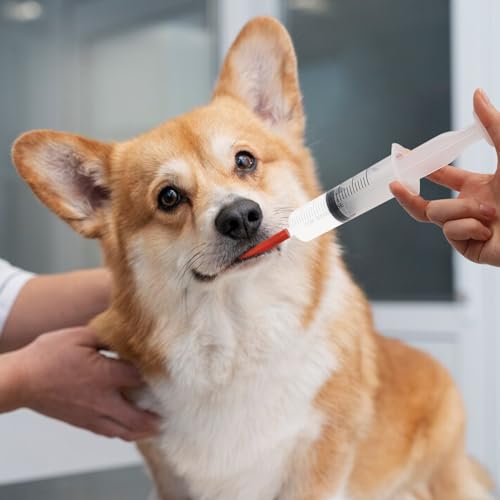 Lamb and Goat Kid Feeding Kit 2-Tube (16 FR), 1-Syringe 60ml Reusable Drench Goat Syringe for Lamb, Dog, Sheep,Piglet,Rabbit Feeding (16''L Red Tube)