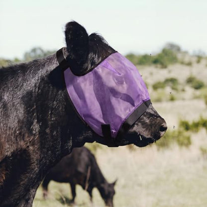 Abbylike 2 Pcs Cattle Livestock Fly Mask Adjustable Mesh Cow Mask with Elastic Chin Strap, Breathable Mesh Padded Large Spacing Forelock Opening Design Adjustable Fit for Cattle (Purple) - color: Purple