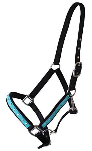 Nylon Horse Nylon Padded Halter with SS Hardware Lead Rope Tack 606162TR